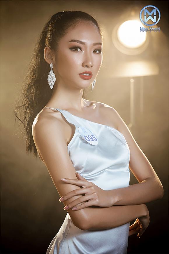 Miss World Việt Nam 2019, sao Việt